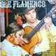 Roberto De Villargarcia - Ole Flamenco